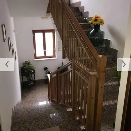 Gerani Torre Annunziata